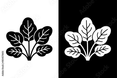 Detailed Spinach Plant Silhouette Vector Icon Black White Design