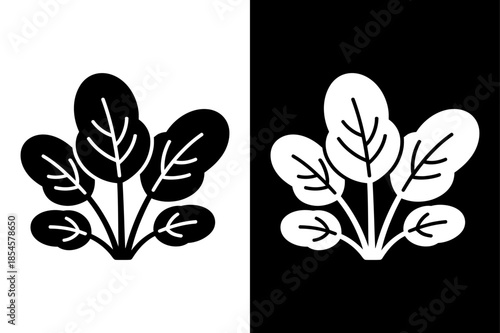Fresh Spinach Plant Silhouette Vector Icon on Black and White Background