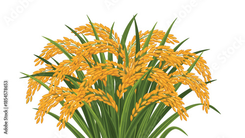 Close-up illustration of golden ears of rice ready for harvest symbolizes a rich agricultural season on a white background.