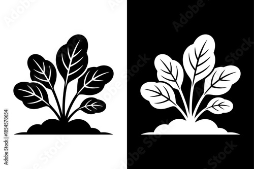 Spinach Plant Silhouette Icon Detailed Vector Illustration Black White