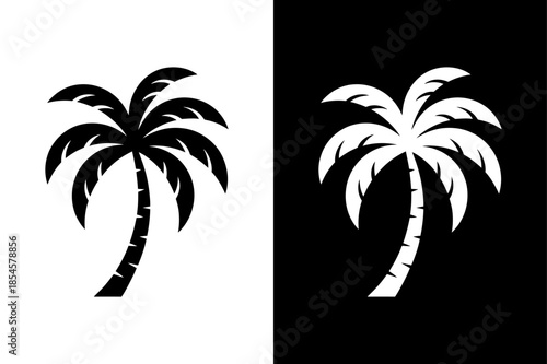 Elegant Tropical Palm Tree Silhouette Vector Illustration Black White