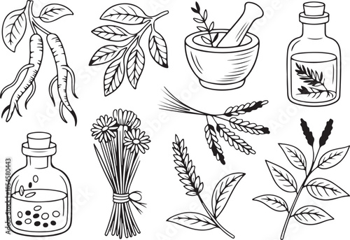 Hand Drawn Herbal Medicine and Apothecary Elements Collection