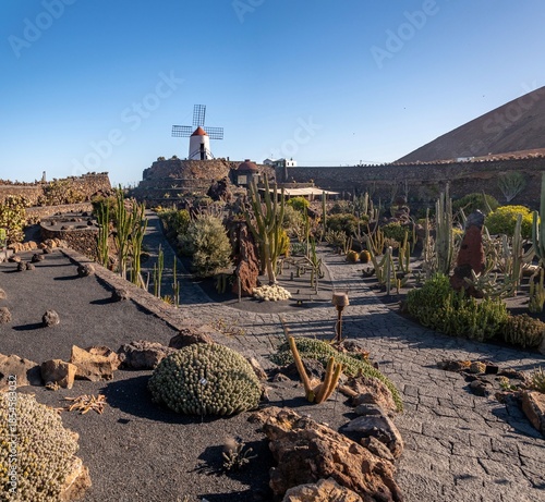 Canary Islands beautiful garden with cacti and a windmill on a sunny day on the island of Lanzarote.