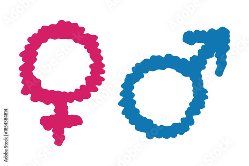 Hand drawn female and male gender identity sign Symbol used to represent sex and gender Single element for print, web, design, decor