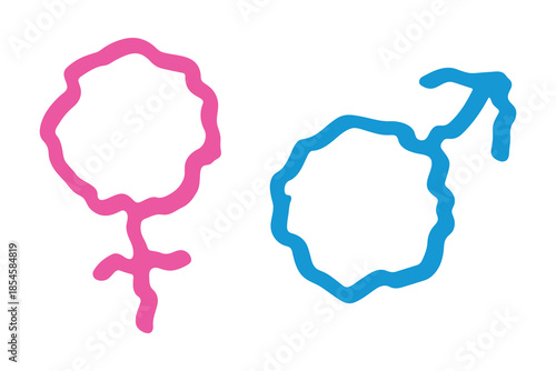 Hand drawn female and male gender identity sign Symbol used to represent sex and gender Single element for print, web, design, decor