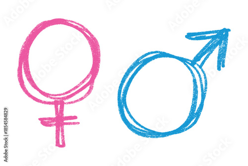 Hand drawn female and male gender identity sign Symbol used to represent sex and gender Single element for print, web, design, decor