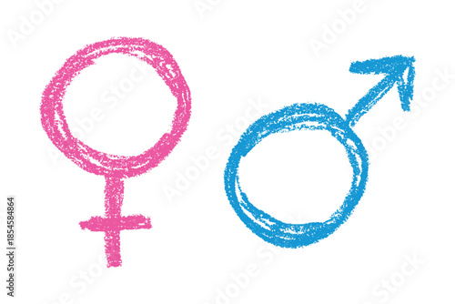 Hand drawn female and male gender identity sign Symbol used to represent sex and gender Single element for print, web, design, decor