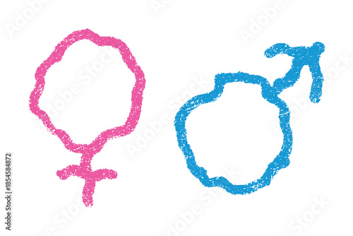 Hand drawn female and male gender identity sign Symbol used to represent sex and gender Single element for print, web, design, decor