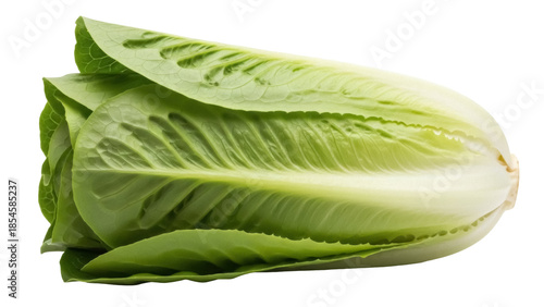 Fresh romaine lettuce isolated PNG, vibrant green leaves of healthy salad ingredient on transparent background for culinary and dietary designs