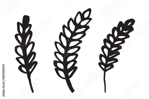 Set of hand drawn cereal wheat oat rye barley rice ears spikelet clipart Organic wheat bread agriculture farming harvest healthy food Single element for design print packaging label decor