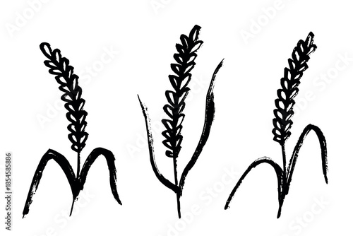 Set of hand drawn cereal wheat oat rye barley rice ears spikelet clipart Organic wheat bread agriculture farming harvest healthy food Single element for design print packaging label decor
