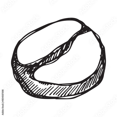 Hand drawn fresh roasted coffee bean Arabica robusta seed doodle Single element for print, web, design, decor