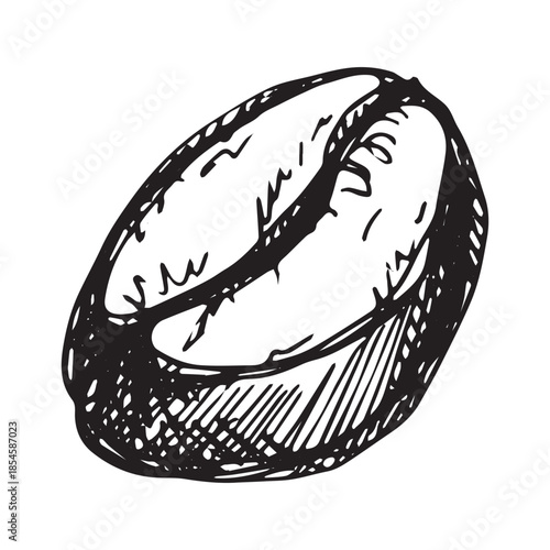 Hand drawn fresh roasted coffee bean Arabica robusta seed doodle Single element for print, web, design, decor