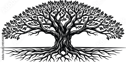 Big old oak tree with spreading roots, black and white vector illustration, nature silhouette, woodcut style, detailed isolated sketch, organic plant.