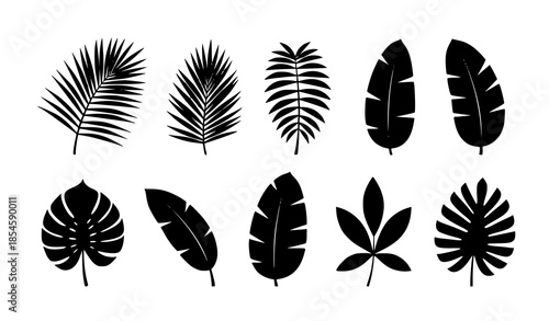 Decorative tropical jungle leaf silhouette vector set isolated on white
