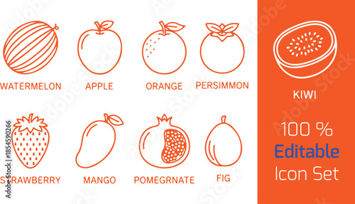 Seasonal fruit line icons set of 9, watermelon, apple, orange, strawberry, mango, pomegranate, fig, persimmon, kiwi, outline vector on white.