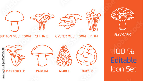  Mushroom and fungi line icons set of 9, button mushroom, shiitake, oyster mushroom, chanterelle, porcini, morel, truffle, enoki, fly agaric, outline vector