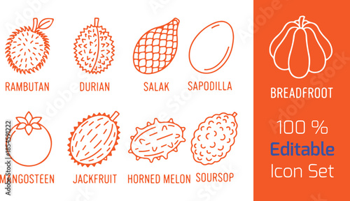 Exotic rare fruit line icon set of 9, rambutan, durian, salak, mangosteen, jackfruit, horned melon, sapodilla, soursop, breadfruit, white background vector