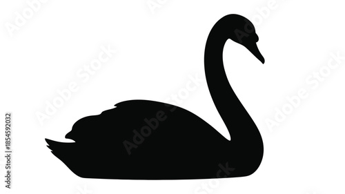 Elegant swan in profile view a striking black and white silhouette