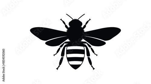 A striking black bee illustration with detailed wings a bold silhouette