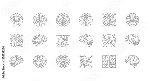 Collection of intricate brain illustrations