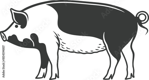 pig cartoon silhouette vector illustration

