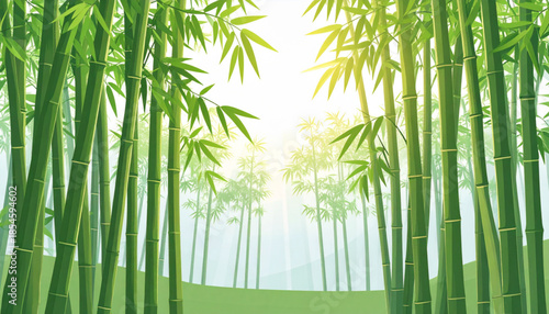 Flat Bamboo Forest Sunbeams