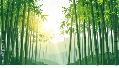 Flat Bamboo Forest Sunbeams
