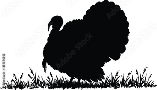 Black silhouette of a wild turkey standing on grass in profile with tail feathers fanned, perfect for Thanksgiving or wildlife themes