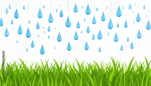 Flat Raindrops on Green Grass