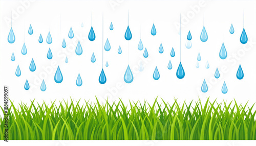 Flat Raindrops on Green Grass