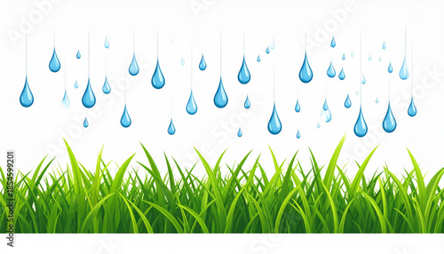 Flat Raindrops on Green Grass