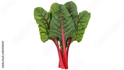 Cuadro en lienzo Fresh red chard isolated PNG on transparent background, vibrant leafy greens for