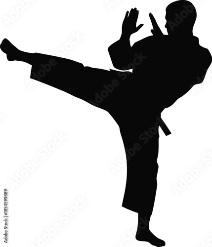 Karate practitioner performing a kick dynamic pose on transparent background silhouette