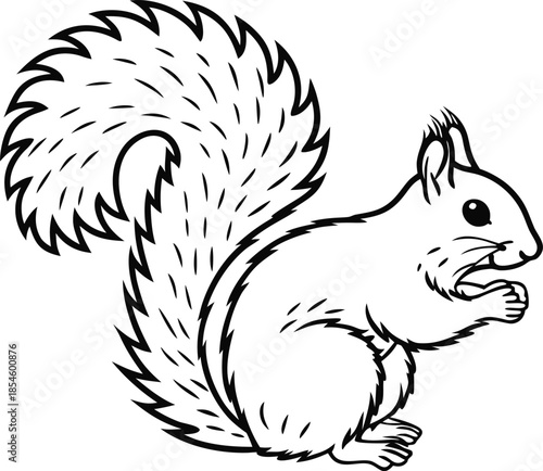 squirrel forest animal silhouette vector illustration
