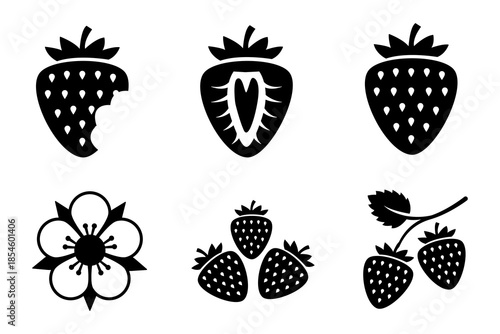 A collection of stylised illustrations of strawberries, including a flower and various views of the fruit