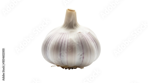 Fresh garlic bulb isolated PNG on transparent background, healthy cooking ingredient for culinary use and flavoring dishes