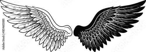 Detailed Hand Drawn Wings Illustration in Black and White Sketch Style for Tattoos Logo Design and Heroic Concept Art Vector