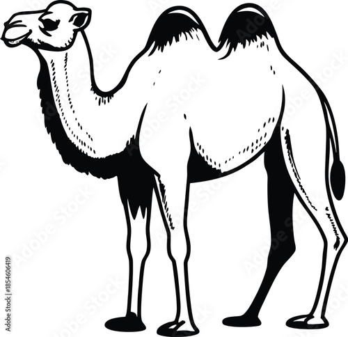camel minimal icon silhouette vector illustration
