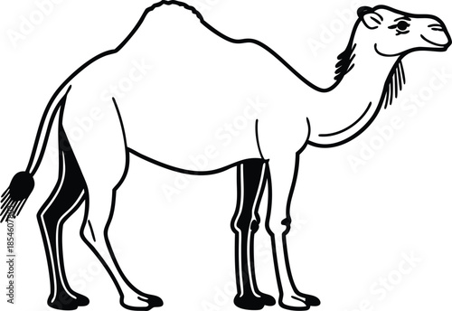 camel walking silhouette vector illustration
