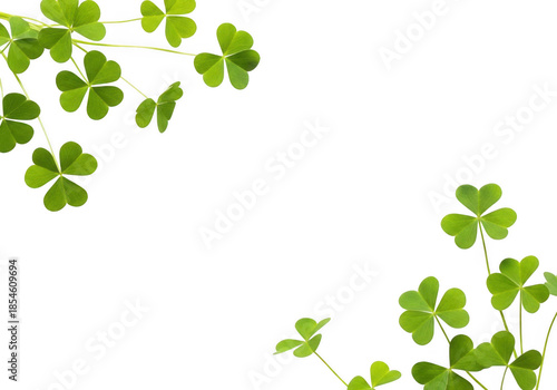 Vibrant green clover leaves framing the corners of a clean transparent background, symbolizing luck and nature in a simple, fresh composition isolated on transparent background