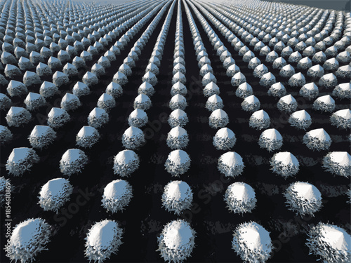 Aerial view of a winter agricultural field with snow-covered plants in rows