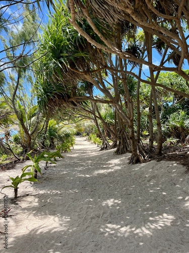 A stunning view of the thriving coral reef, stunning blue ocean and white sand beach surrounded by lush palm trees, coconuts and beautiful nature on Vanuatu's famous 