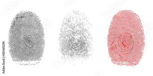 Three individual fingerprints in different colors representing identity and security concepts