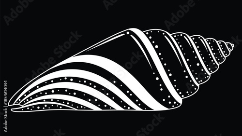 Detailed white silhouette of a spiral seashell with stripes and dots is isolated on a solid black background.