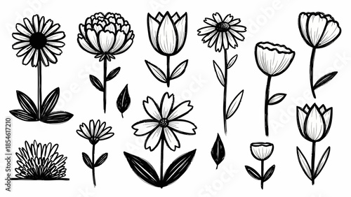 "Hand-Drawn Black and White Flower Illustrations with Various Blooming Floral Designs"