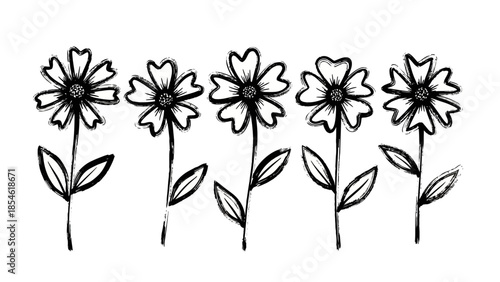 A charming sketch of five daisies with stems and leaves, showcasing delicate floral beauty in a simple artistic style
