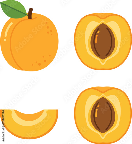 Fresh apricot fruit vector illustration set isolated on white background featuring whole apricot with leaf half cut sections with pits and slice