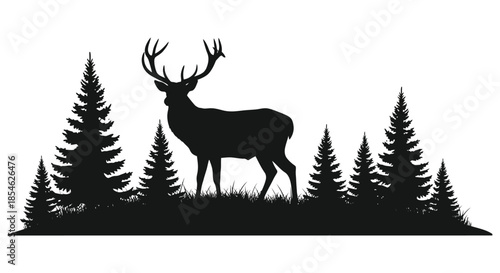 Majestic stag stands proudly amidst a dark forest of evergreen trees a striking silhouette