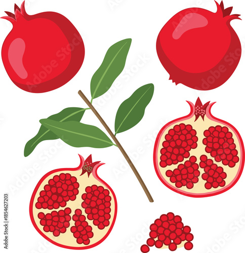 Realistic pomegranate fruit vector illustration set isolated on white background featuring whole fruits half cut sections with seeds and green leaf branch